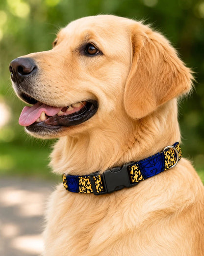 African Print Dog Collar – Adjustable Ankara Pet Collar for Medium to Large Dogs