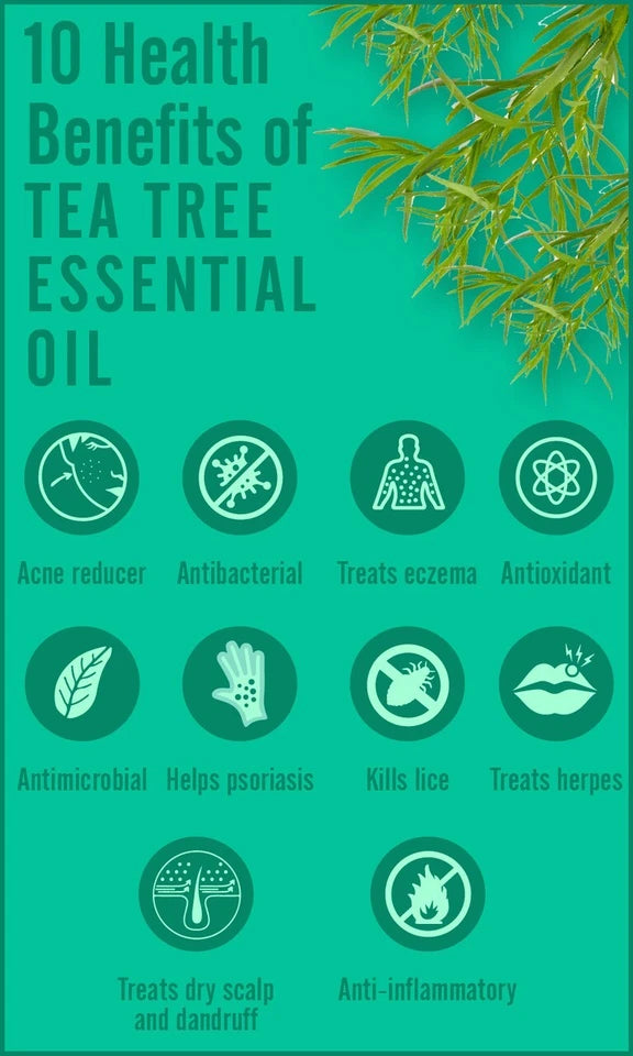 Tea Tree Essential Oil 100% Natural Therapeutic Grade Oil