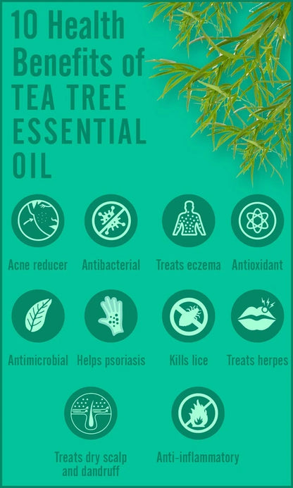 Tea Tree Essential Oil 100% Natural Therapeutic Grade Oil